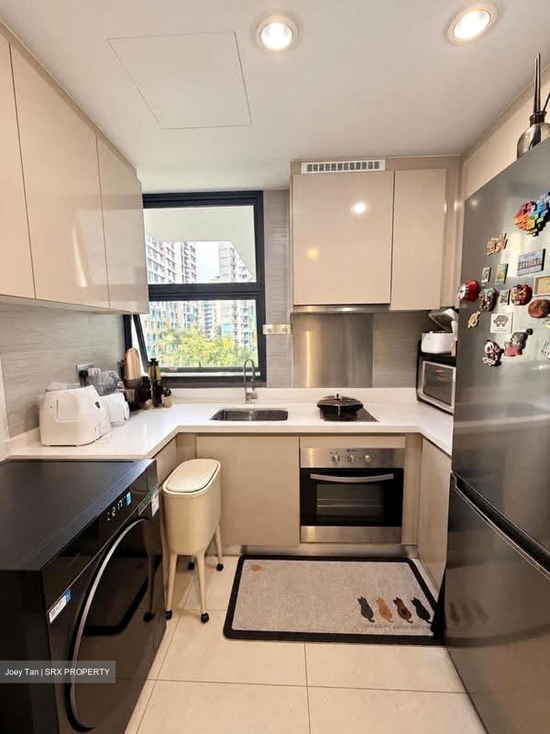 Blossom Residences (D23), Condominium #634217801